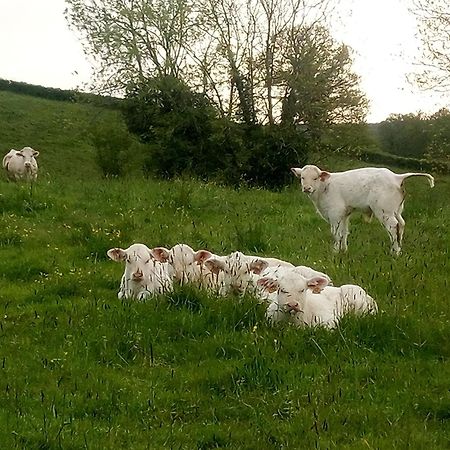 Gite A La Ferme Le Rousset Екстер'єр фото