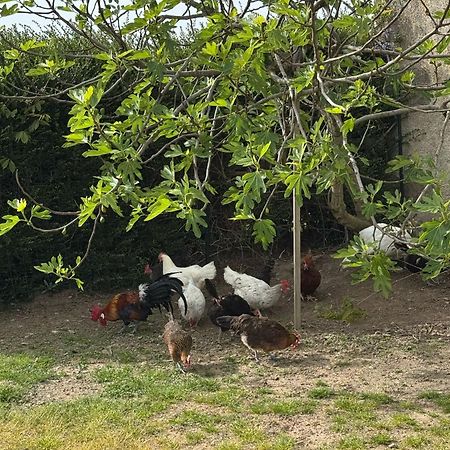 Gite A La Ferme Le Rousset Екстер'єр фото